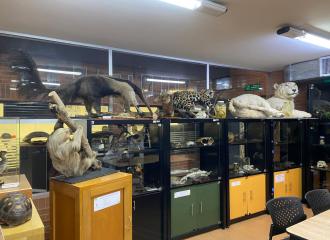 Museo de Ciencias de la Universidad El Bosque