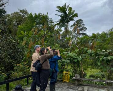 Bogota Birding & Colombia Wildlife Tours