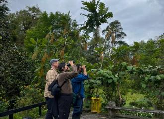Bogota Birding & Colombia Wildlife Tours