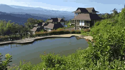 Asociacion Villa Permacultural Mahia