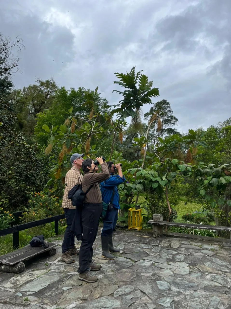 Bogota Birding & Colombia Wildlife Tours