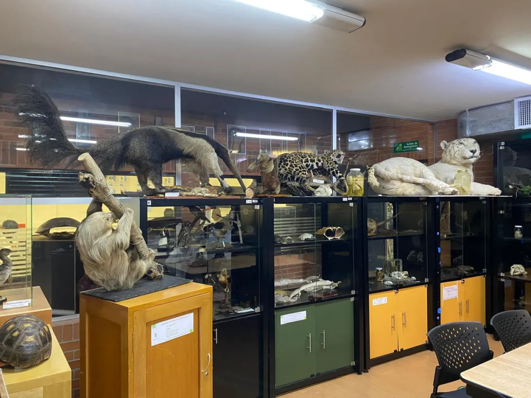 Museo de Ciencias de la Universidad El Bosque