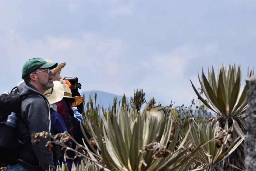 Reserva Ecológica Hakuna Matata